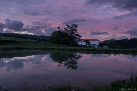 Reflexos